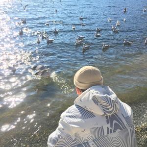 贾蕾医生乡村一家免费观看
