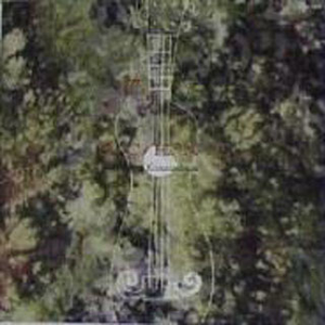 贾蕾医生乡村一家免费观看
